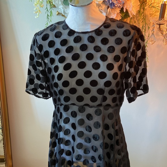 ZARA BLACK SHEER VELVET POLKA DOT SHORT SLEEVE HI LO DRESS MEDIUM NEW - Picture 3 of 6